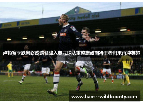 卢顿赛季跌宕终成遗憾降入英冠球队重整旗鼓期待王者归来再冲英超 卢顿赛季跌宕终成遗憾降入英冠球队重整旗鼓期待王者归来再冲英超
