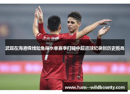 武磊在海港锋线如鱼得水单赛季打破中超进球纪录创历史新高